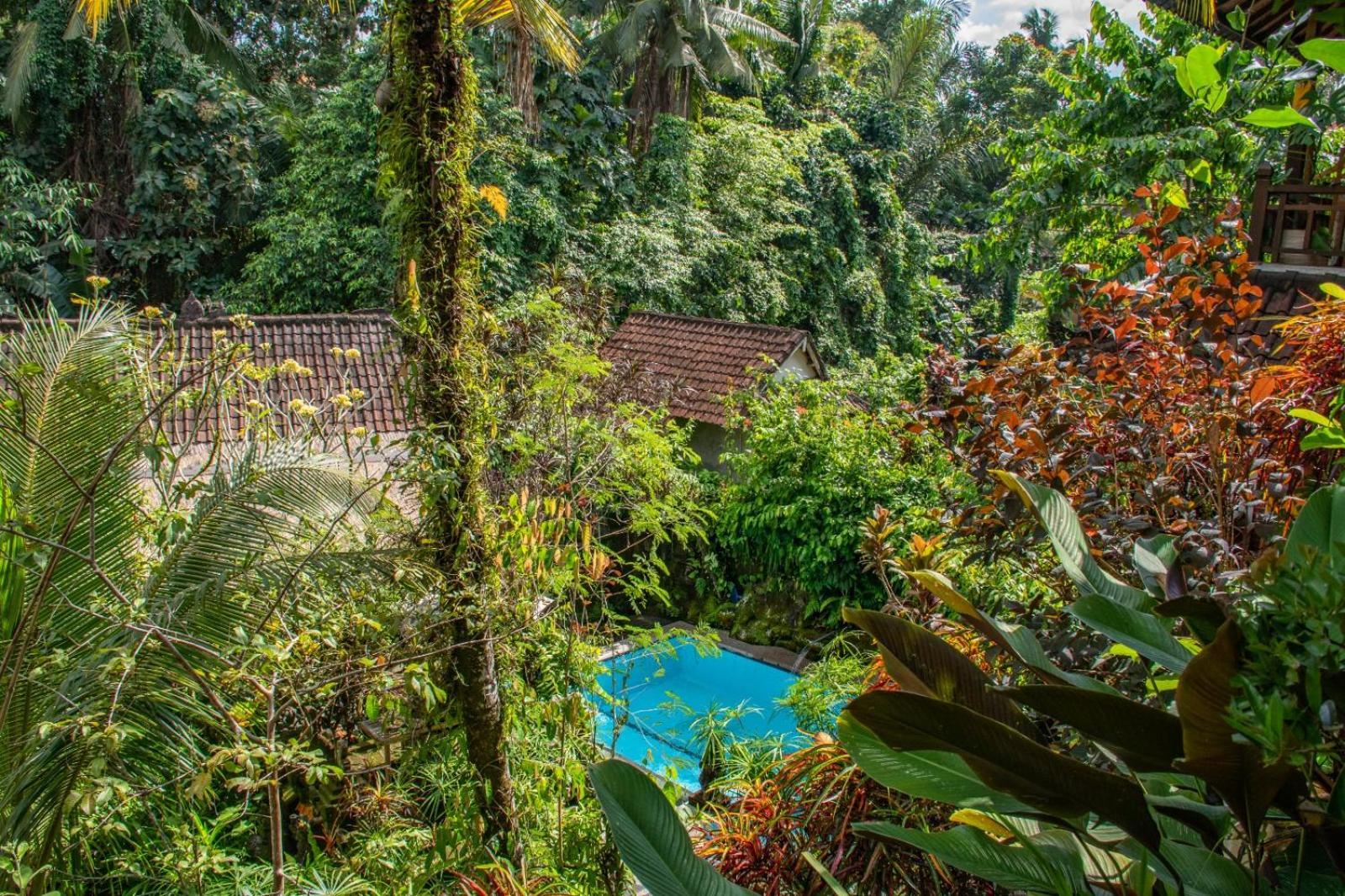 Down The Rabbit Hole Apartment Ubud  Exterior photo